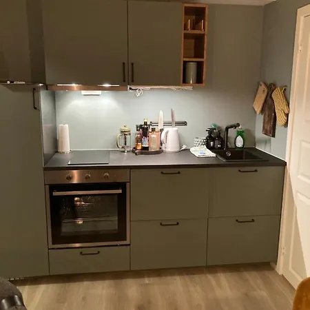 Alpintun Apartman Oppdal